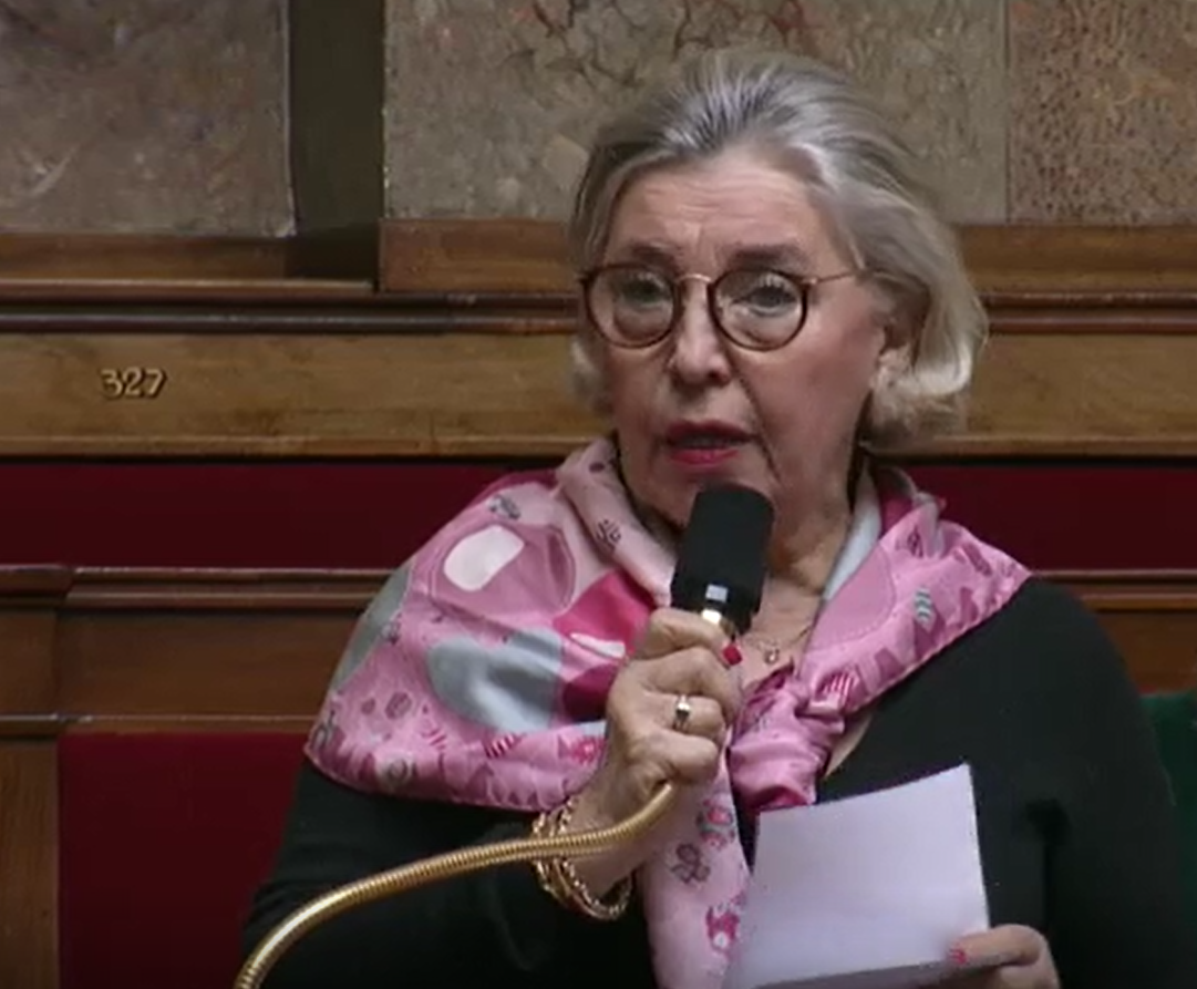 Intervention de Nicole DubréChirat sur la réformes des retraites à l