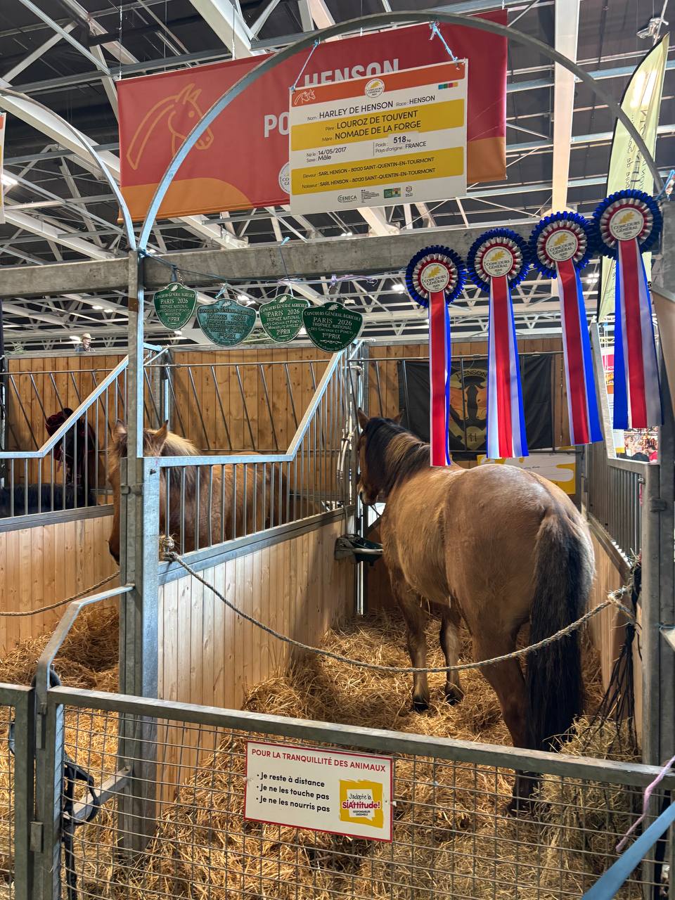 photo_2026-03-04 16.06.00